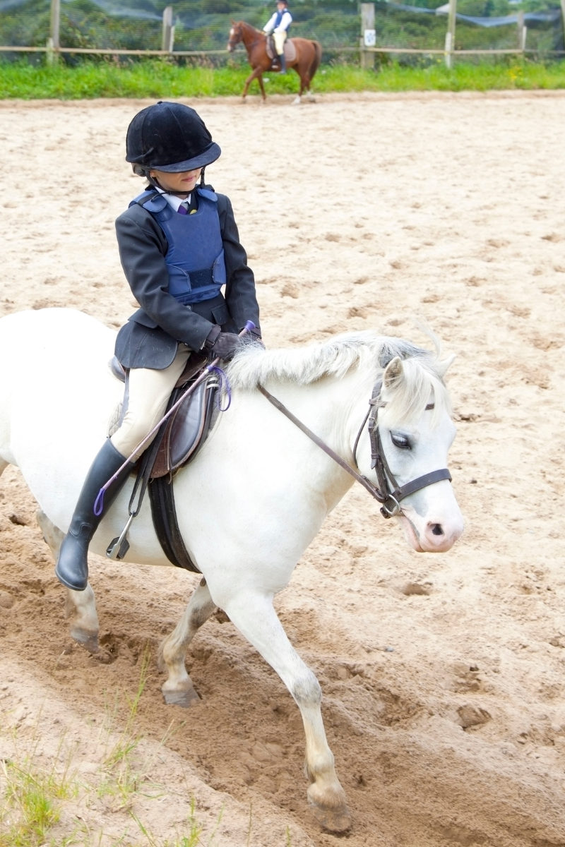 Mt Evelyn Pony Club Website Portrait Image (2)